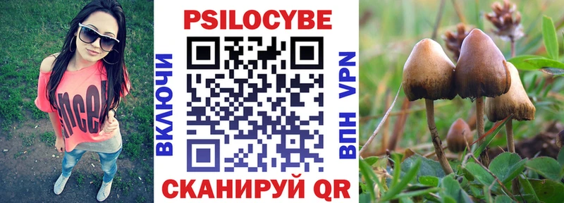 Галлюциногенные грибы мухоморы  Судак 